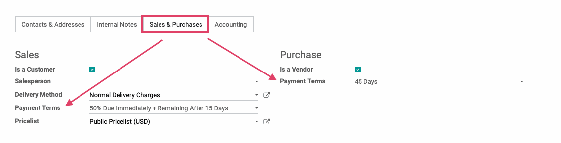 Odoo CMS - a big picture