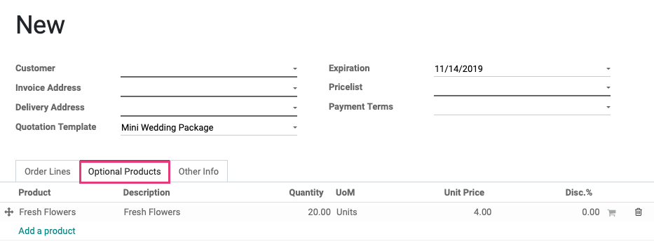 Odoo CMS - a big picture